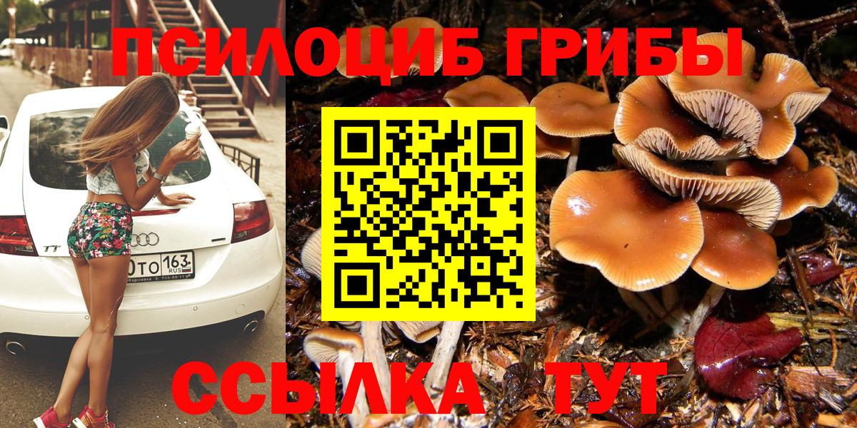 Галлюциногенные грибы GOLDEN TEACHER Тюмень